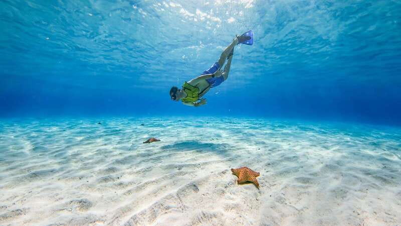 Cozumel: Catamaran, El Cielo Bay & Palancar Reef with Lunch - Palancar Reef snorkeling: why it’s the main draw