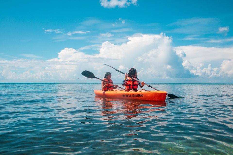 Cozumel: Catamaran, El Cielo Bay & Palancar Reef with Lunch - El Cielo Bay: starfish spotting in calm, shallow water