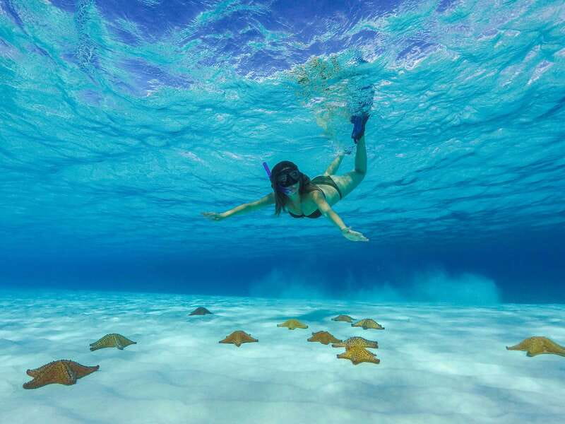 Cozumel: Catamaran, El Cielo Bay & Palancar Reef with Lunch - Lunch in downtown Cozumel: buffet comfort plus beer and the show