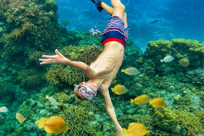 Cozumel Catamaran Experience with Snorkeling & Beach Club - The Palancar Reef Snorkeling Stop: More Fish Time, Less Hassle