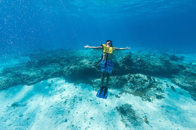 Cozumel Catamaran Snorkeling Tour & lunch - From Playa Mia to the reef: the catamaran day-plan