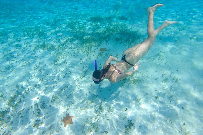 Cozumel Catamaran Snorkeling Tour & lunch - Price and value: $90 plus the $13 marine park fee
