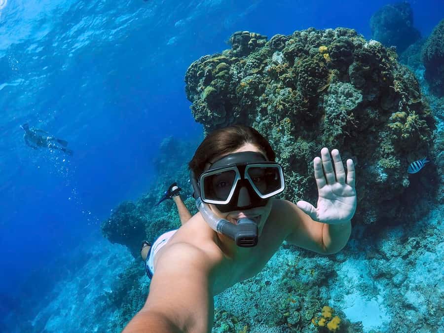 Cozumel Catamaran Snorkeling Tour & lunch - Should you book the Cozumel Catamaran Snorkeling and Lunch tour?