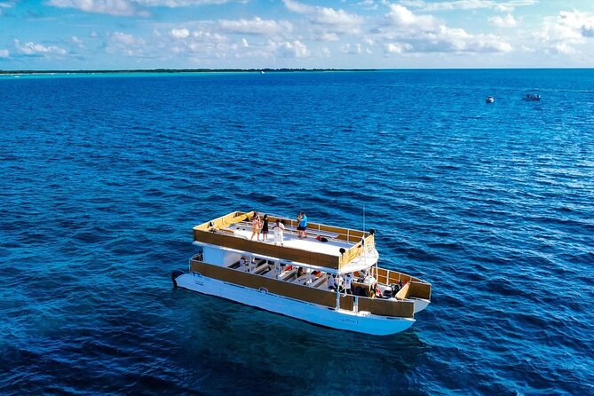 Cozumel Catamaran Tour: Snorkel at Top Reefs & Open Bar - Stop 4: Playa El Cielo for Starfish and Shallow-Water Magic (About 1 Hour)