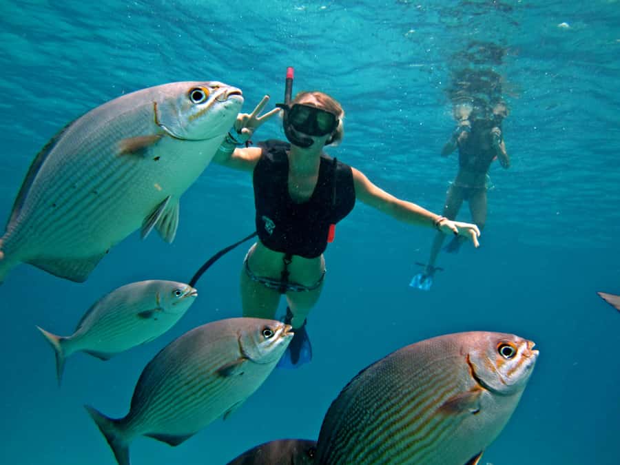 Cozumel: Chankanaab Park Admission+ Snorkel+ Welcome drink - Key highlights to know before you go