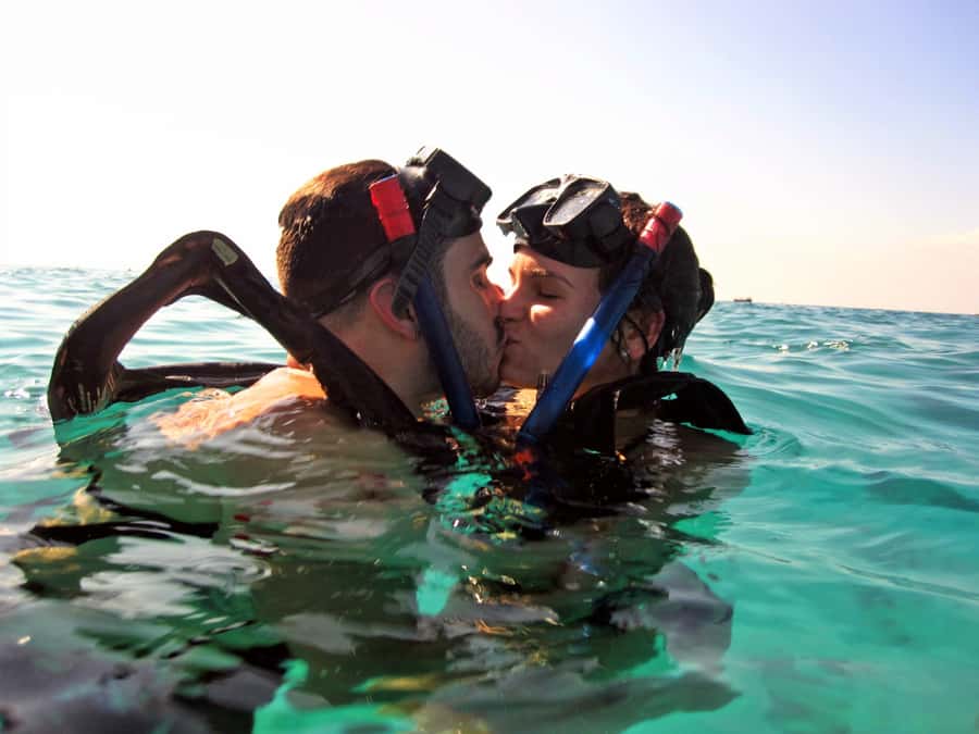 Cozumel: Chankanaab Park Admission+ Snorkel+ Welcome drink - Price and value: $33 plus the marine fee reality
