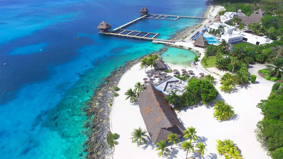 Cozumel: Chankanaab Park Admission+ Snorkel+ Welcome drink - Meeting point and check-in: get oriented fast