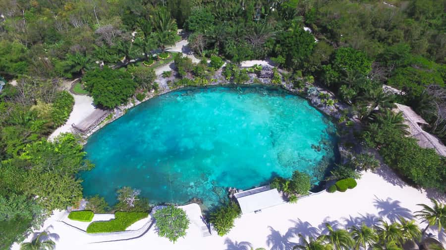 Cozumel: Chankanaab Park Admission+ Snorkel+ Welcome drink - Water conditions can change: how to handle a rough sea day