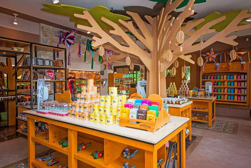 Cozumel: Chocolate Workshop at The Mayan Cacao Company - Should you book the Cozumel chocolate workshop?