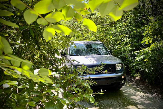 Cozumel: Discover Hidden Gems w/ Private guide - Tierra Maya Sanctuary: living Mayan traditions (and what to expect)