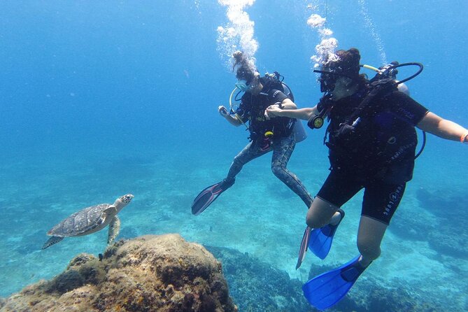 Cozumel: Discover Scuba Diving - Safety and coaching with a certified guide (and why small groups matter)