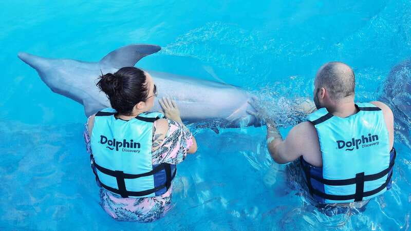 Cozumel: Dolphin Royal Connection and Manatee Interaction - Key things to know before you book