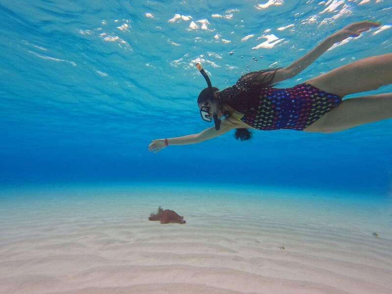 Cozumel, El Cielo: 4-Hour Private Tour - Boat Type and What You Might See on the Day