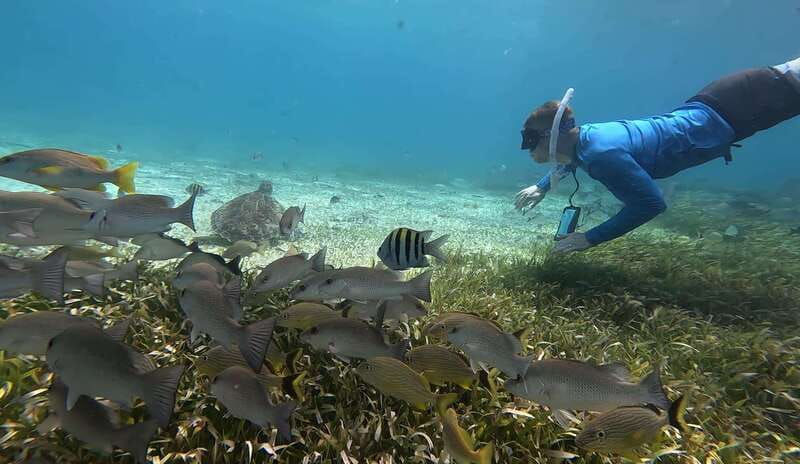 Cozumel, El Cielo: 4-Hour Private Tour - Food, Drinks, Gear, and the On-Board Sunscreen Rule