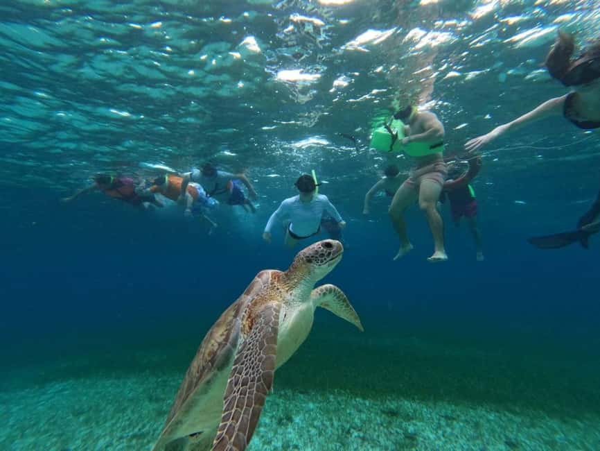 Cozumel, El Cielo: 4-Hour Shared Snorkeling Tour - Key reasons this Cozumel snorkeling tour works
