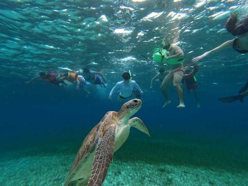 Cozumel, El Cielo: 4-Hour Shared Snorkeling Tour - Who should book this Cozumel 4-hour snorkeling outing