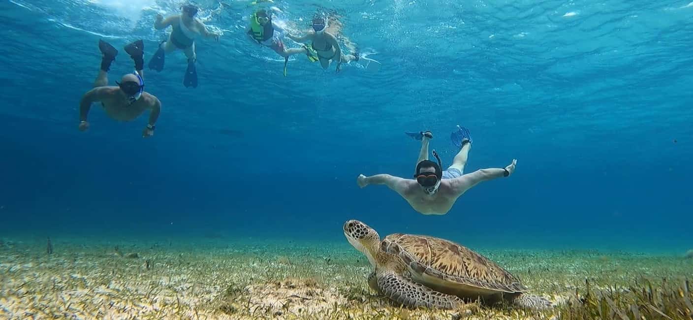 Cozumel, El Cielo: 4-Hour Shared Snorkeling Tour - Snorkel stop 1 at Palancar: coral, fish, and big reef energy