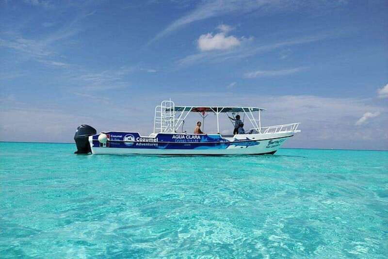 Cozumel El Cielo Sandbar and Reef Snorkeling Tour - Key tour highlights at a glance