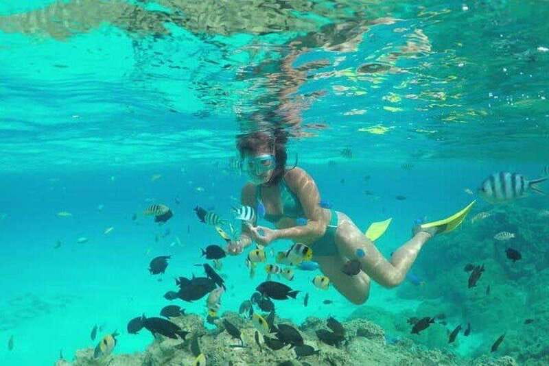 Cozumel El Cielo Sandbar and Reef Snorkeling Tour - Colombia Reef and Palancar Reef: the snorkeling foundation