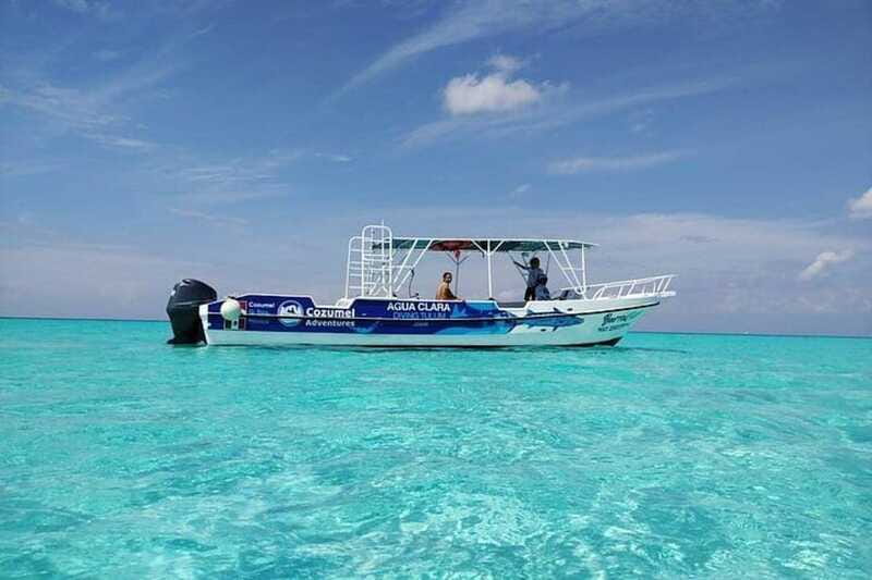 Cozumel El Cielo Sandbar and Reef Snorkeling Tour - Guides and vibe: the human part that makes it work