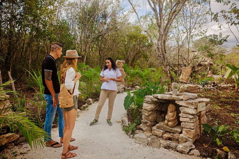 Cozumel: General Entrance to Mayan Bee Sanctuary - Mayan Monoliths Exhibition: Limestone Art and Symbols You Can Actually Spot
