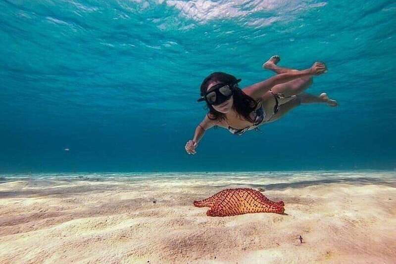 Cozumel: Glass-bottom Boat Snorkeling Adventure - Glass-bottom boat reality check (and why snorkeling still wins)