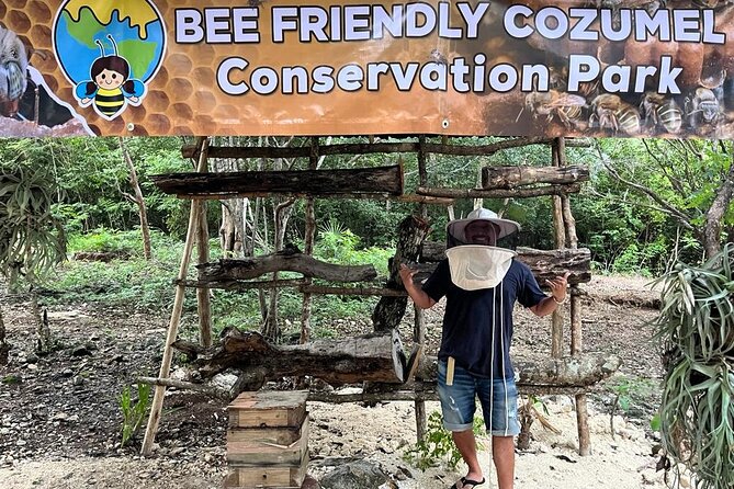 Cozumel: Hands-On Chocolate, Tortilla, Salsa & Honey Experience - Key highlights (the parts worth circling)