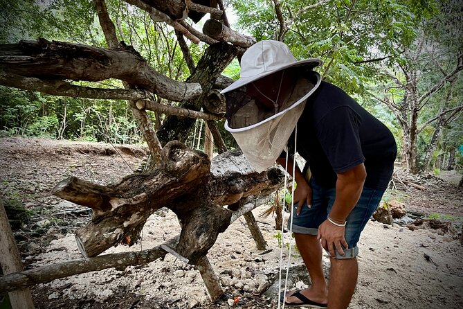 Cozumel: Hands-On Chocolate, Tortilla, Salsa & Honey Experience - Mayan cacao chocolate workshop with stone tools: what you’ll actually learn