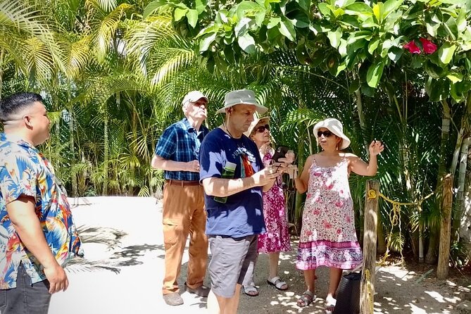 Cozumel: Hands-On Chocolate, Tortilla, Salsa & Honey Experience - Should you book Cozumel’s hands-on chocolate, tortilla, salsa & honey class?