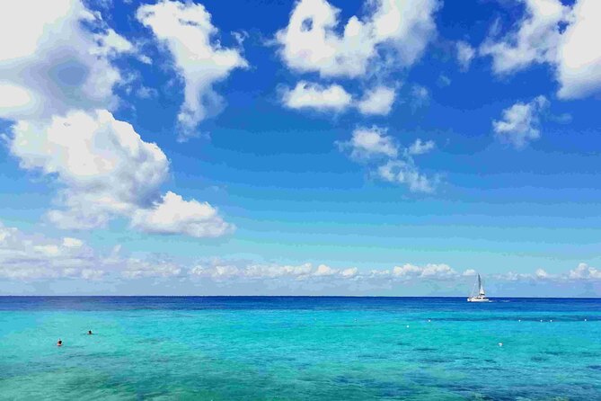 Cozumel Island Tour: Mayan Ruins, Reefs, and Beach Escape - Key things to know before you go