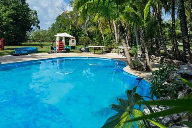 Cozumel Jungle ATV Adventure and Unlimited Beach Break - Safety Reality Check: ATV Condition, Training, and What to Do Before You Ride