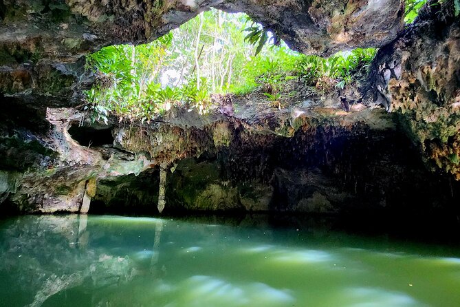 Cozumel Jungle ATV Tour Adventure and Caverns with transfer - What You’re Really Buying: 3 Hours of ATV, Caverns, and Tequila