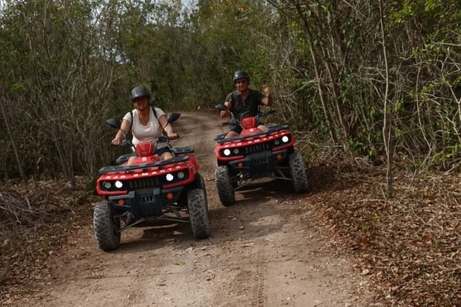 Cozumel Jungle ATV Tour Adventure and Caverns with transfer - Stop 3 El Cedralito: Artisanal Tequila Tasting (and Tacos If You Want Them)