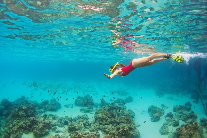 Cozumel Luxury Sailing & Snorkeling Cruise Experience - Timing and weather: when the day can change without warning
