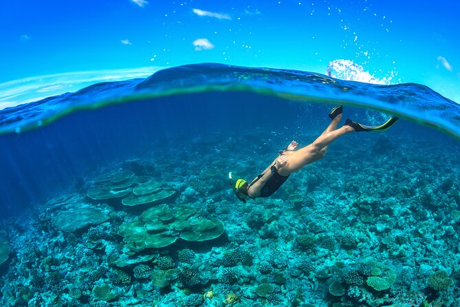 Cozumel Luxury Sailing & Snorkeling Cruise Experience - Group size: max 30, but docks can still feel chaotic
