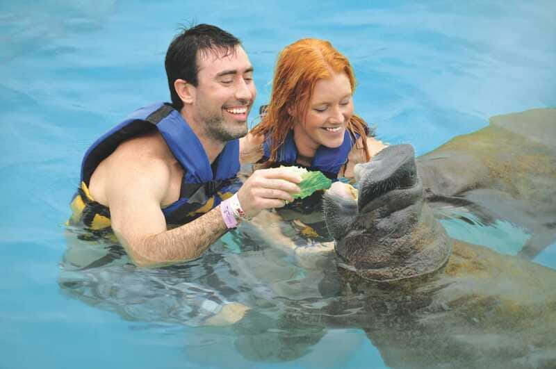 Cozumel: Manatee Encounter, Chankanaab Admission and Buffet - Logistics You Can’t Ignore: Gear, Lockers, and Sunscreen Rules