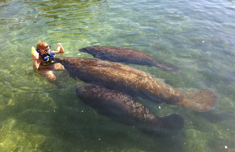 Cozumel: Manatee Encounter, Chankanaab Admission and Buffet - Transportation and Timing: How to Make This Work on a Tight Day