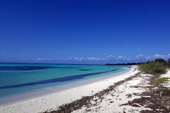 Cozumel National Park and Beach Break: Private Tour - Why This Private Cozumel Day Works