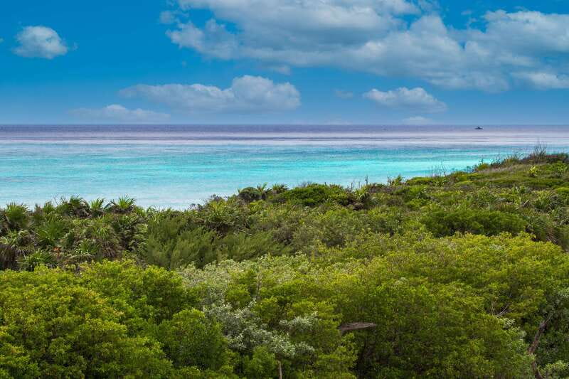 Cozumel: North Shore E-Bike Adventure & Beach Break - Guides matter: Antonio, Chalo, and what a good ride feels like