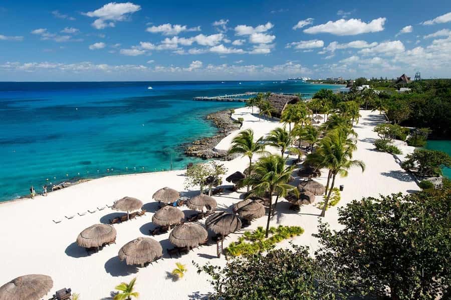 Cozumel: Official Chankanaab Park and Snorkeling with Lunch - Chankanaab in a Nutshell: Reef Snorkeling Plus Real Park Time