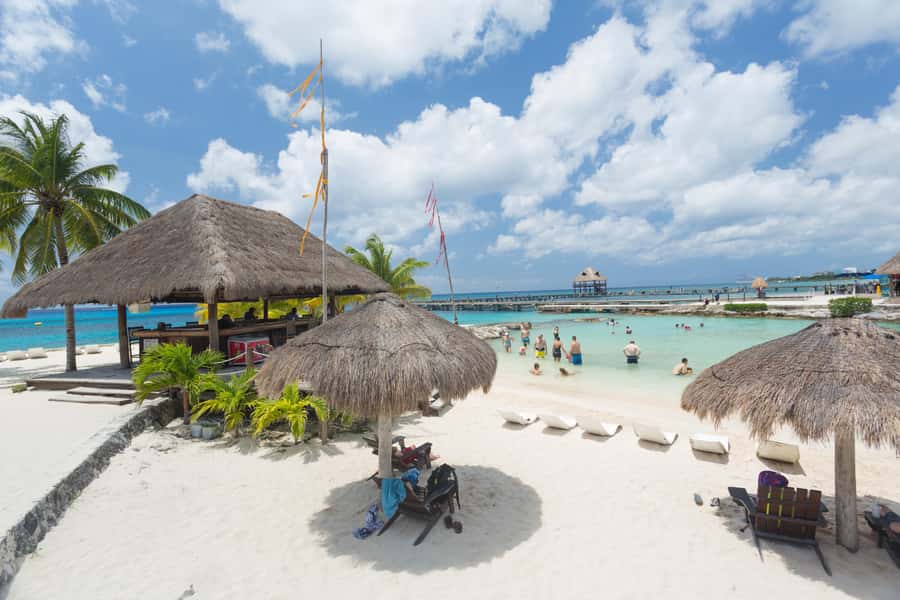 Cozumel: Official Chankanaab Park and Snorkeling with Lunch - Beach Club Comfort: Palapas, Loungers, Lockers, and Sea Lion Shows