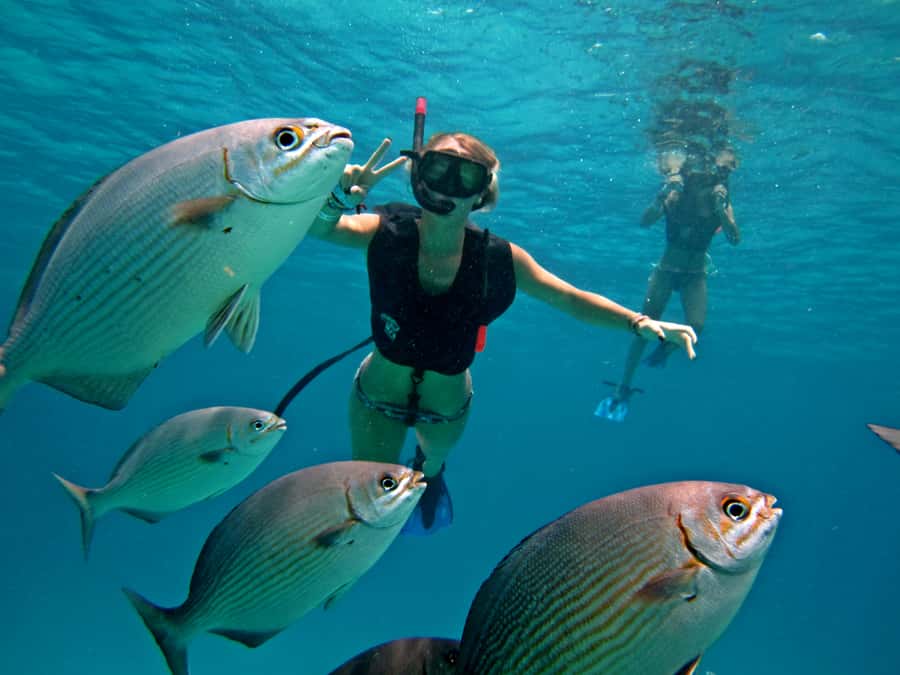 Cozumel: Official Chankanaab Park and Snorkeling with Lunch - Lunch by the Water and the Food Reality Check