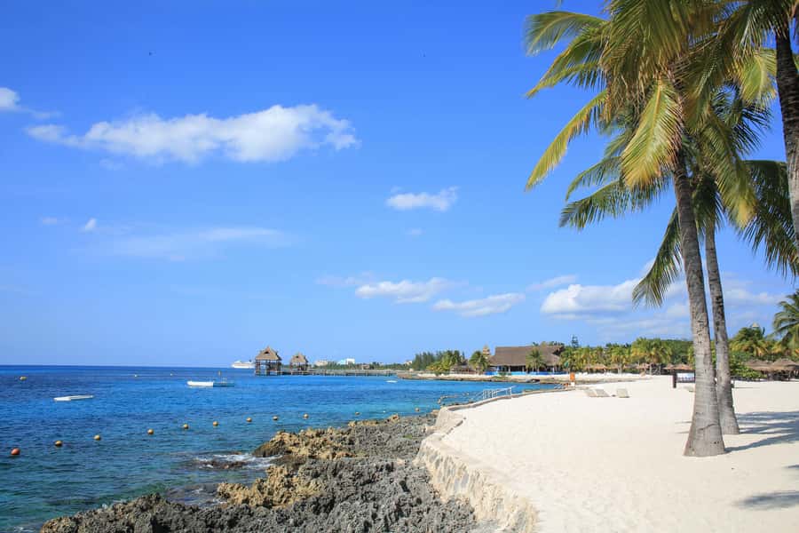 Cozumel: Official Chankanaab Park and Snorkeling with Lunch - Price and Value: Is $53 Worth It in Cozumel?