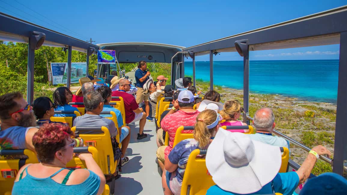 Cozumel: Open Top City Tour & Beach Break - Why this Cozumel tour fits cruise timing so well