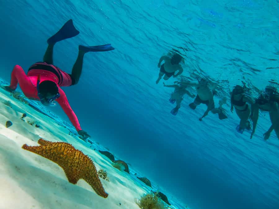 Cozumel: Palancar, Columbia and Cielo Reefs Snorkeling Tour - Quick highlights (what makes this tour worth your time)