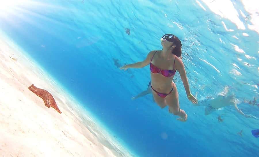 Cozumel: Palancar, Columbia and Cielo Reefs Snorkeling Tour - Who should book this snorkeling tour (and who might pass)
