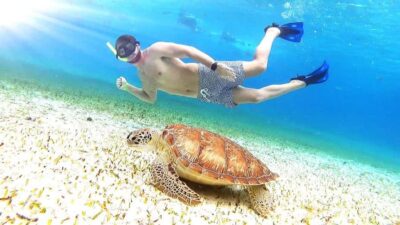 Cozumel: Palancar, Columbia and Cielo Reefs Snorkeling Tour - The 3-reef route: Palancar, Columbia, and Cielo as one continuous snorkeling story