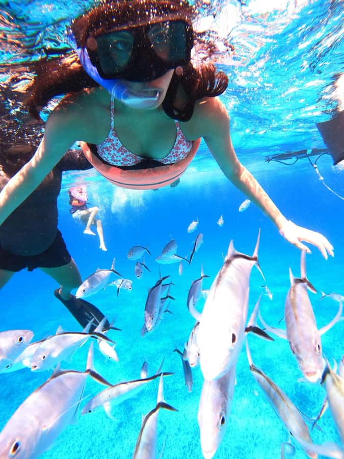Cozumel: Palancar, Columbia and Cielo Reefs Snorkeling Tour - What’s included on the boat: shaded comfort, drinks, ceviche, and fruit