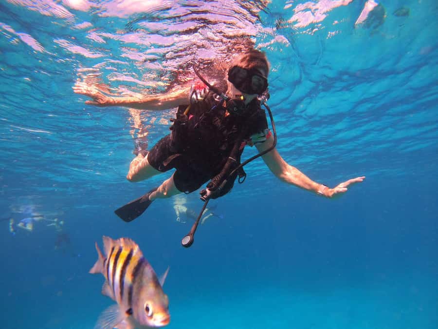 Cozumel: Palancar, Columbia and Cielo Reefs Snorkeling Tour - Equipment and safety: you get gear, but check it early