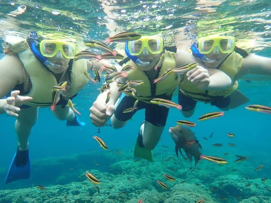 Cozumel: Palancar, Columbia and Cielo Reefs Snorkeling Tour - Price and marine fees: how $52 adds up (and how it stays fair)